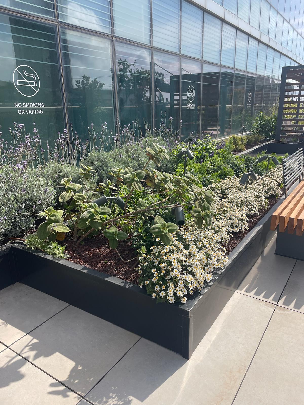 09adb942-d533-47e0-a237-31a6f2004d9d